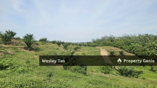 Durian Tunggal Below Value Oil Palm Approx 6.5acres land Freehold Road