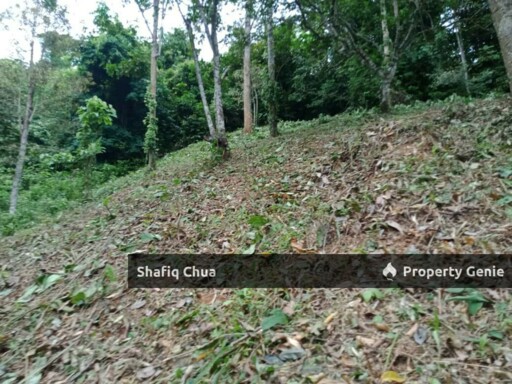 Beautiful Orchard Land for Sale in Ulu Melaka, Langkawi