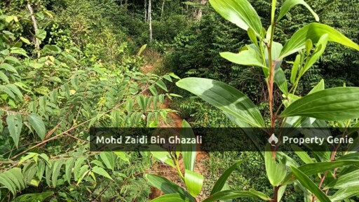 Area 3.78 Acre (1 Lots) of Agriculture Land Along Jenderam to Salak Tinggi Road (B48), Salak Tinggi, Sepang.