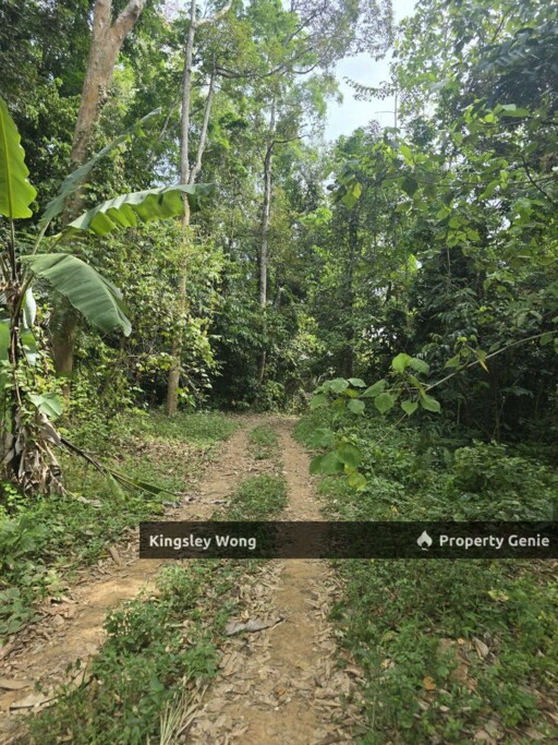 Kati, Kuala Kangsar, Perak Freehold 3.03 acres Agricultural Land With Mountain Water