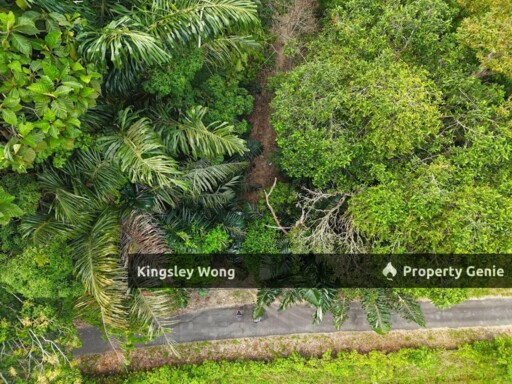 Kuala Kangsar Freehold 1.3acre Agricultural Land with Reserved Road