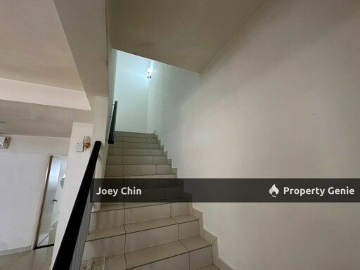 Eco Summer-The Charlton