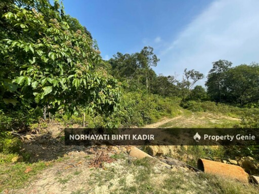 (HOT AREA) TANAH KEBUN DI BUKIT KUIN 2, KUANTAN