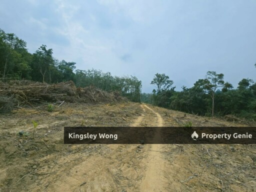 Jerlun Kuala Kangsar Freehold 4.19 Acres Agricultural Land Beside Highway Potential for Billboard Placement