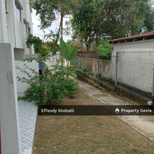 HALAMANDA TERES GOMBAK