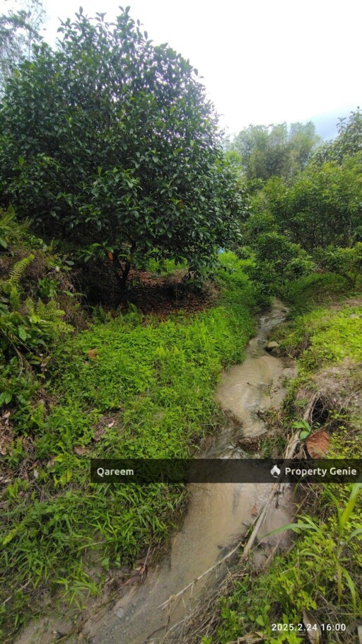 SUNGAI TEKALI