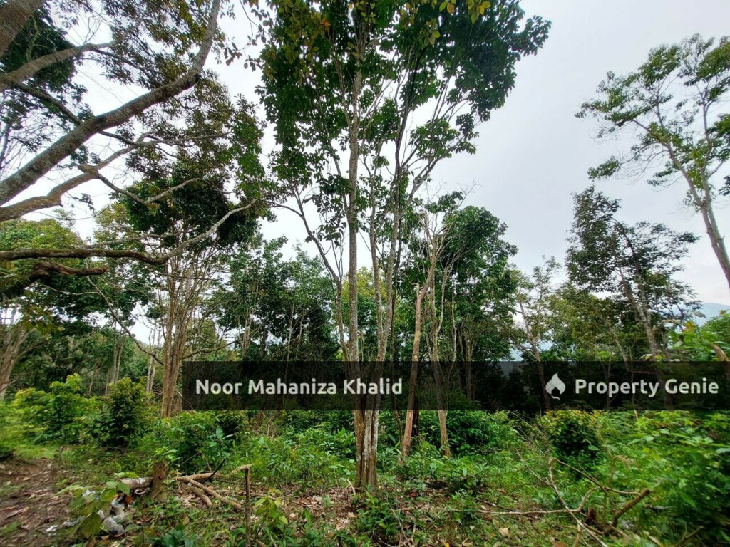 Tanah Pertanian Kampung Ibol Seberang @ Solok Lanjut Manis, Terachi Kuala Pilah