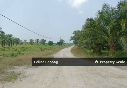 Segamat , johor, solar land