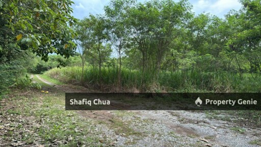 Industrial Land for Sale in Arau Perlis