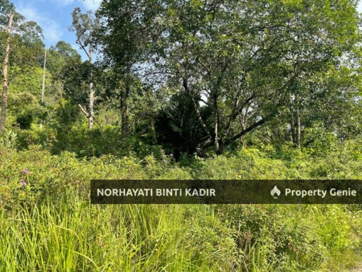 (HOT AREA) TANAH KEBUN DI BUKIT KUIN 2, KUANTAN