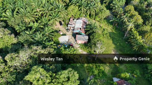 Jasin Jln Tehel Freehold Mainroad 9.9acres Matured Palm Oil Agri Land