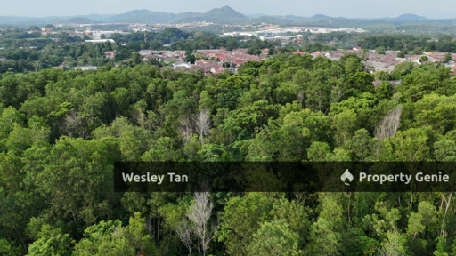 Tampin 8.7acres Agri Land Suitable for Residential Development Status Tiada with River Inside