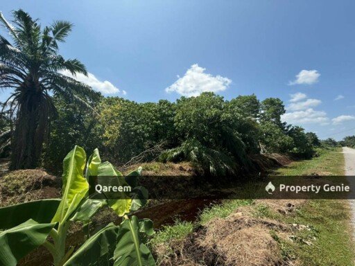 3.4 Ekar parit 10 Sungai Panjang Sabak Bernam