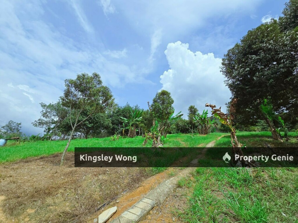 Liman Kati Kuala Kangsar Freehold Agriculture Land 4.6 acres For Sale