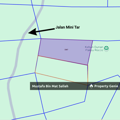 [Kebun Getah] Telok Datu, Pokok Sena