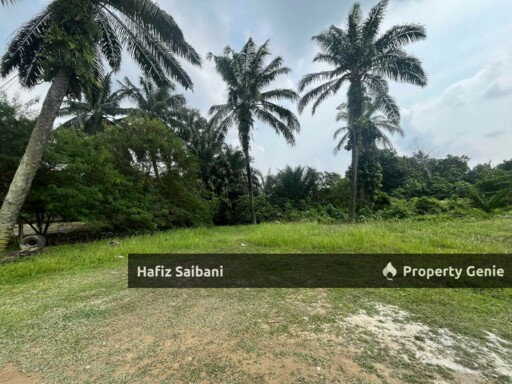 Tanah Pertanian Kampung Budiman Meru Klang