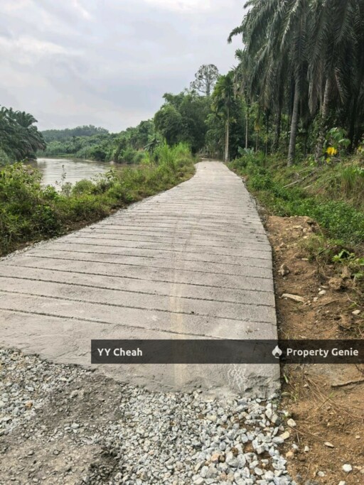 Sg Siput Perak 10 Acres Agri Land For Sale Durian & Orchard 10 Acres Freehold