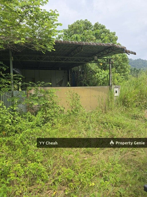 Aquaculture Land For Sale Jerlun Kuala Kangsar 4.12acres Freehold