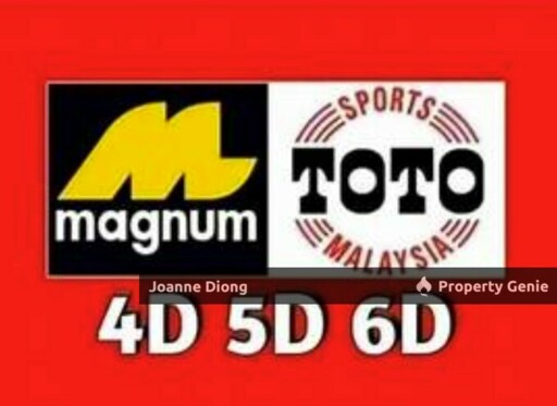 Magnum Lottery License