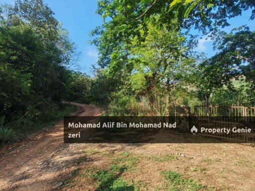 Dusun Buah-buahan untuk Di jual | Geran Individu | Below MV