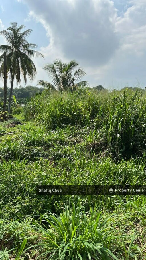 Kampung Baharu, Labu Lanjut
