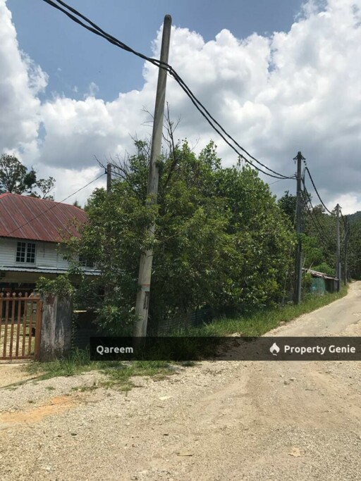 2.98 Ekar Tanah Pertanian Hulu Tamu Batang Kali. Sesuai Bina Rumah