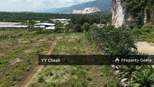 Kanthan Chemor, Ipoh. Agriculture Land 25 Acres