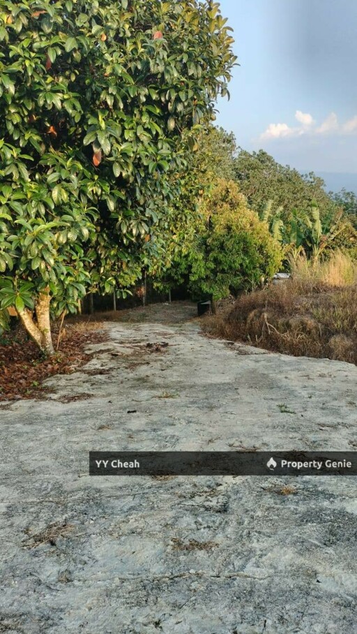 Kuala Kangsar Perak - freehold agriculture for sale, 4 acres, easy access