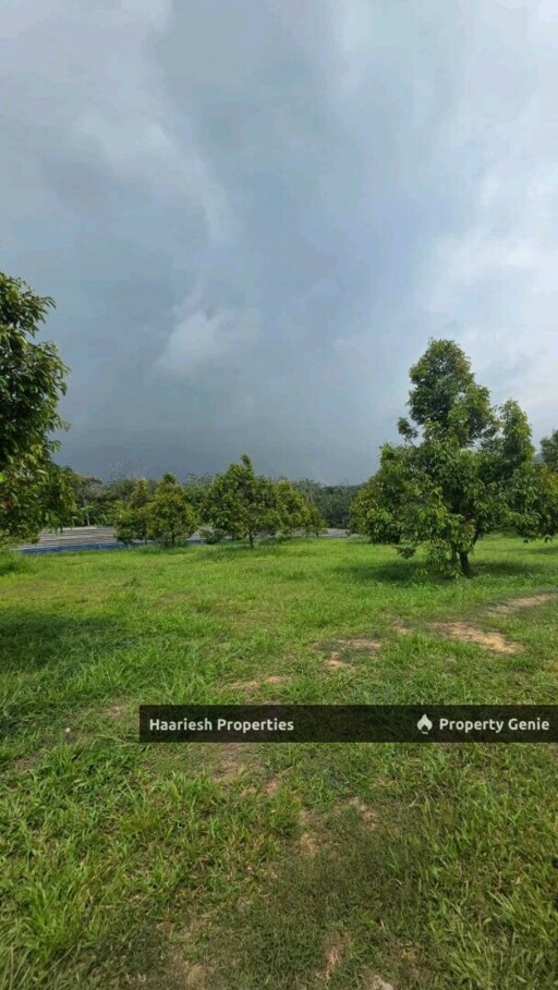 For Sale 17 Acres Durian Plantation Land Air Keroh Melaka