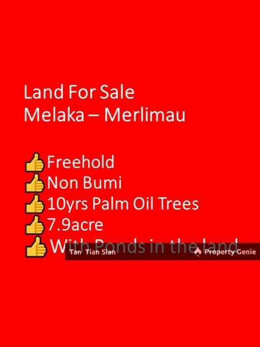 (S043) Land For Sale @ Merlimau, Jasin, Melaka Good location murah cheap Pond water air beside raw land Palm Sawit good