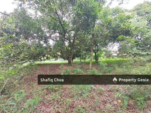 Agriculture Land with Single Storey Bungalow Sg Buloh Nearby Elmina For Sale