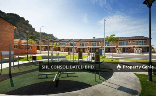 Hibiscus, Goodview Heights