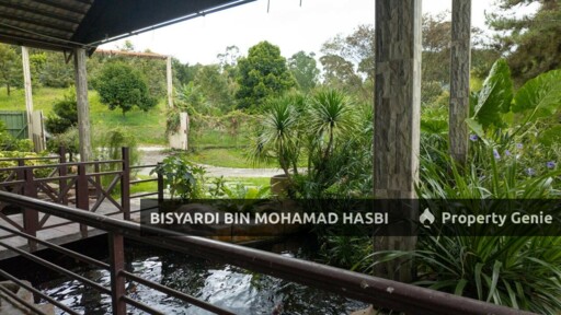 DURIAN FARM SUNGAI MAKAU, HULU LANGAT SELANGOR .