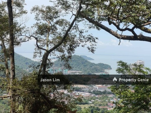 Teluk Kumbar Durian Orchard With Nice View