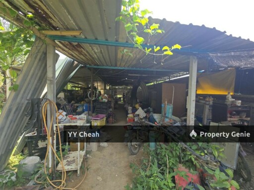 Kuala Kangsar Perak 7.7 Acres Freehold Agri Land For Sale, Well-maintained Orchard
