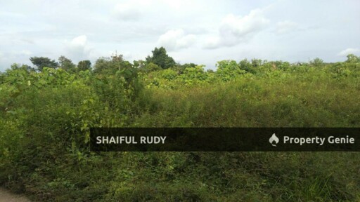 TANAH PERTANIAN untuk Dijual di Kampung Bukit Tingkat, Mukim Sanggang, Temerloh, Pahang