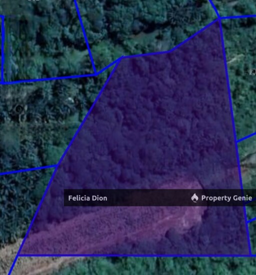 FREEHOLD KELEMAK @ ALOR GAJAH AGRICULTURE LAND FOR SALE ‼️