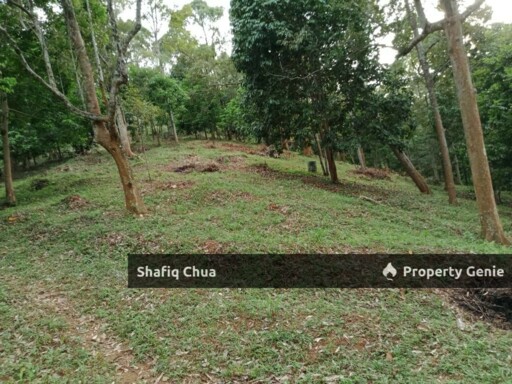 Beautiful Orchard Land for Sale in Ulu Melaka, Langkawi
