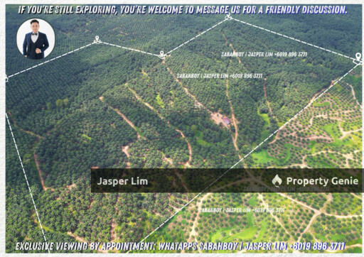 Kunak - Semporna Plantation Flat Land