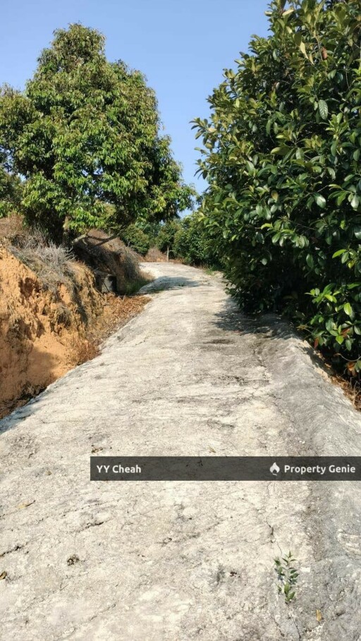 Kuala Kangsar Perak - freehold agriculture for sale, 4 acres, easy access