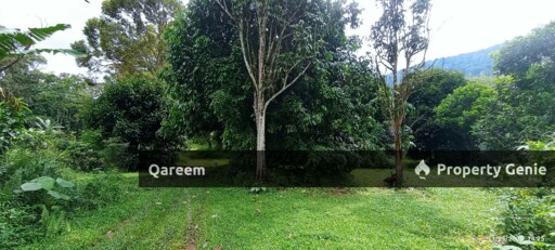 2 Ekar Dusun Buahan Beserta Rumah Seni Melayu Sg Lui Hulu Langat