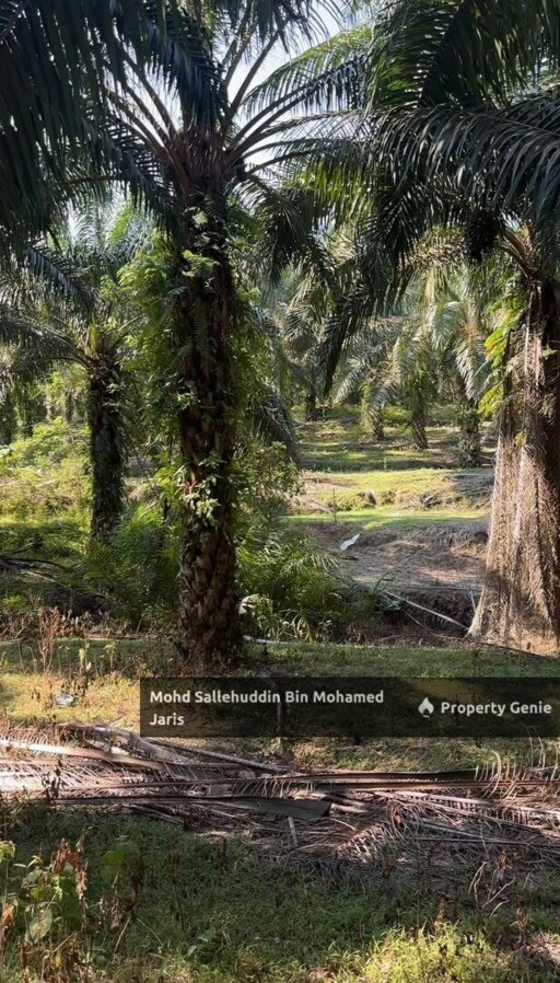 RTK BUKIT SAGU