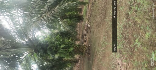 Segamat , Johor