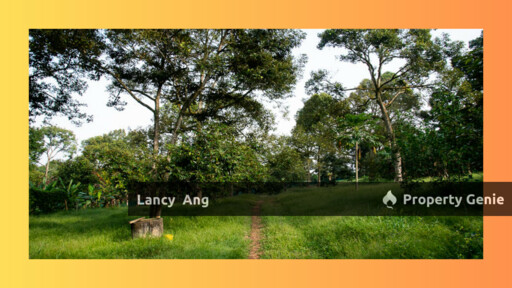 Main Road, Durian Form, Raub, Pahang