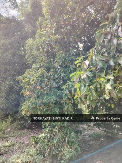 TANAH 13.8 EKAR BERHAMPIRAN JALAN RAUB-LIPIS