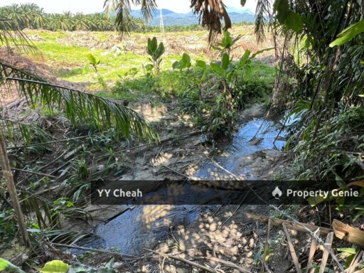 Kanthan Chemor, Ipoh. Agriculture Land 25 Acres