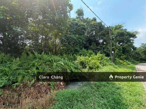 Beside Second Link Tuas 4acres Residential Land