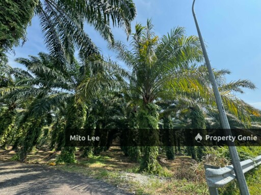 Agricultural Land @ Gelang Patah