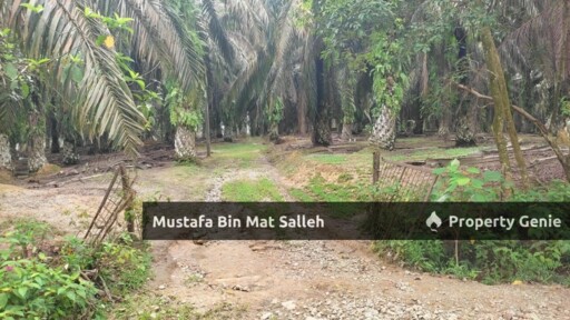 [FREEHOLD] 2 Lots, Kampung Terap Batu 12, Kulim