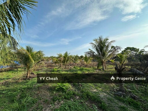 Gopeng Ipoh Perak Agriculture Flat Land For Sale, Freehold Beside road Agricultural Land